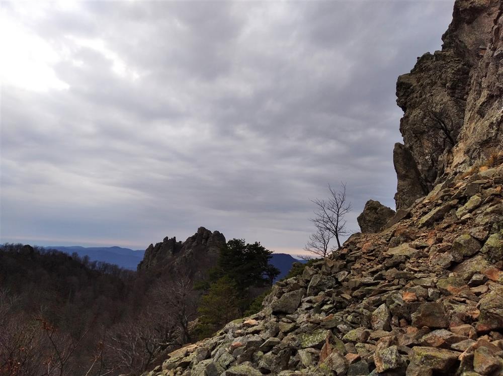  Краснодарский край